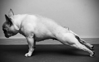 10 věcí, které by měl dát každý, kdo posiluje 